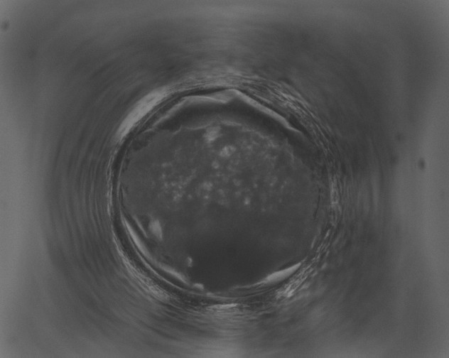 X0000062630054200601111110