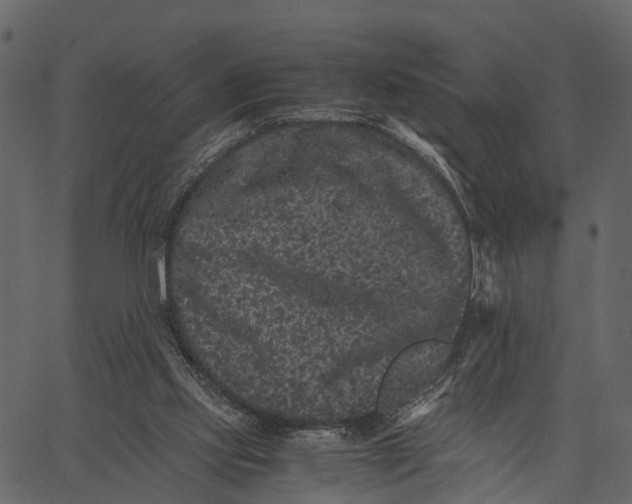 X0000062630061200601111110