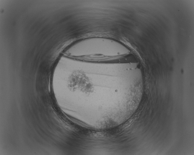 X0000062630062200601111110