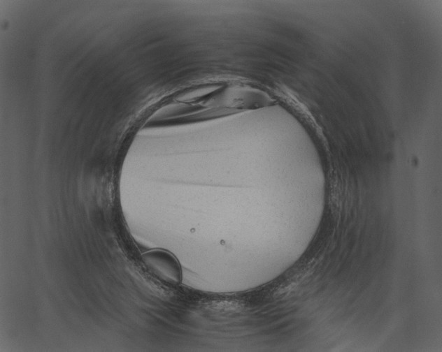 X0000062630063200601111110