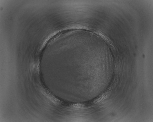 X0000062630064200601111110