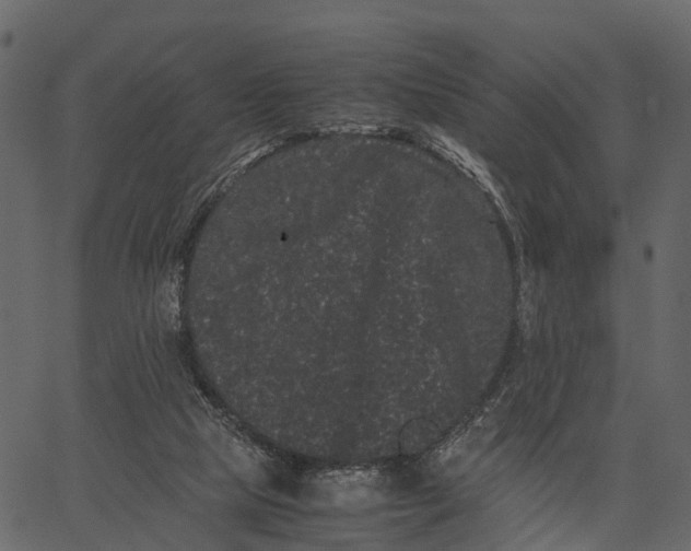 X0000062630065200601111110