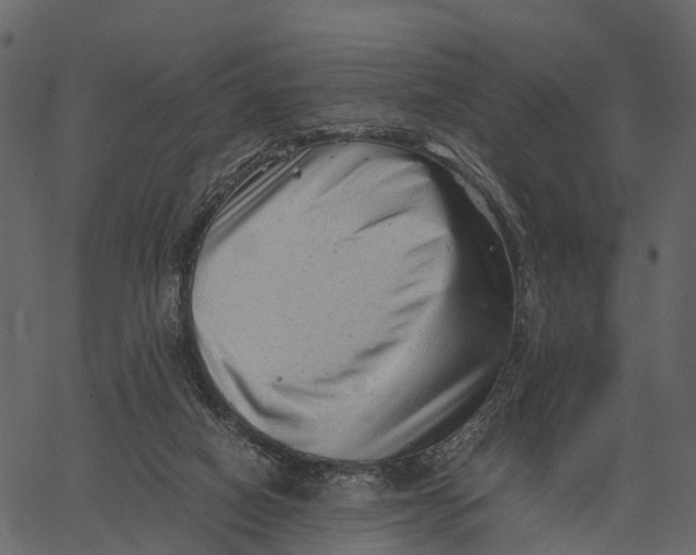 X0000062630066200601111110