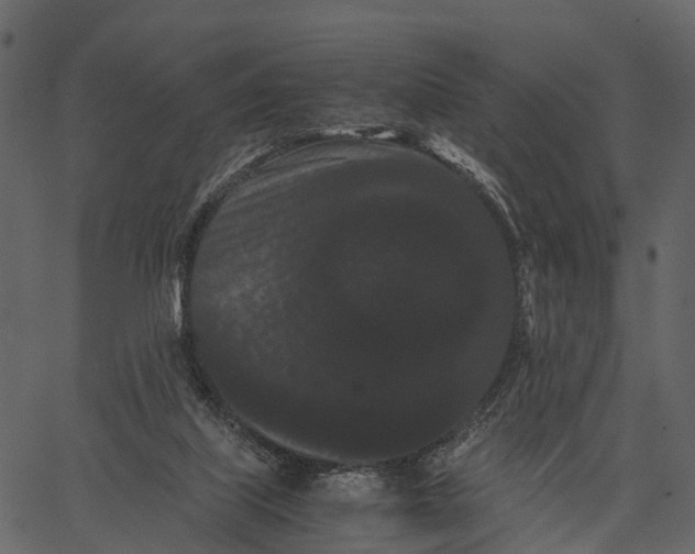 X0000062630067200601111110