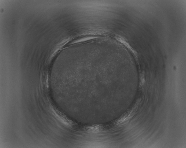 X0000062630068200601111110