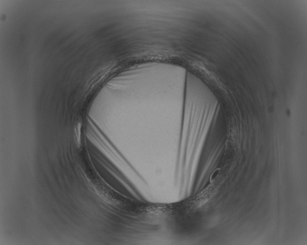 X0000062630070200601111111