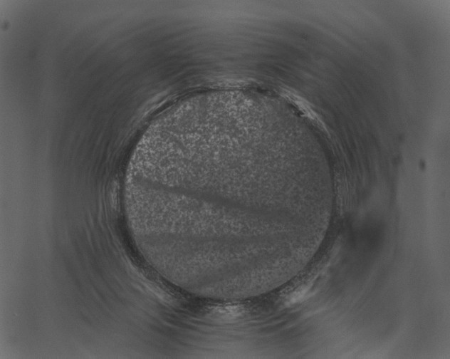 X0000062630071200601111111