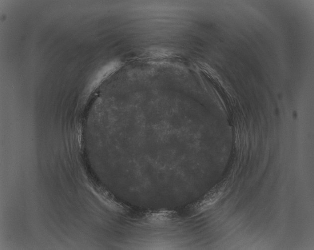 X0000062630072200601111111