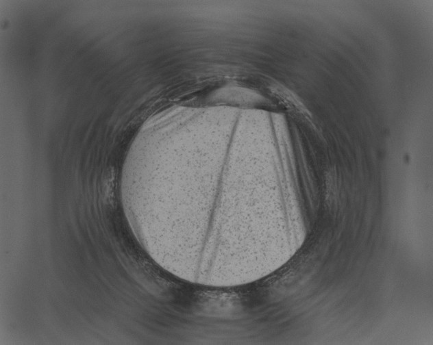 X0000062630073200601111111