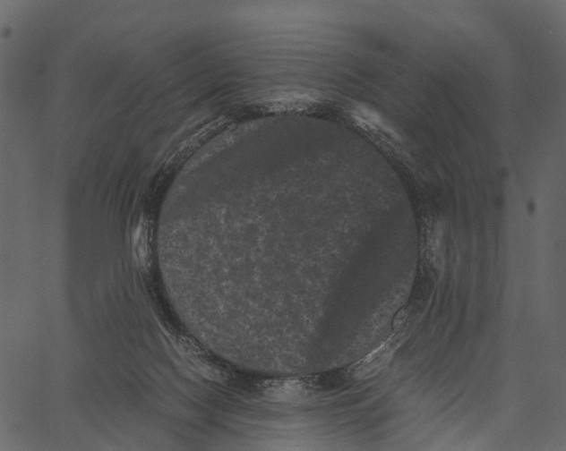 X0000062630074200601111111