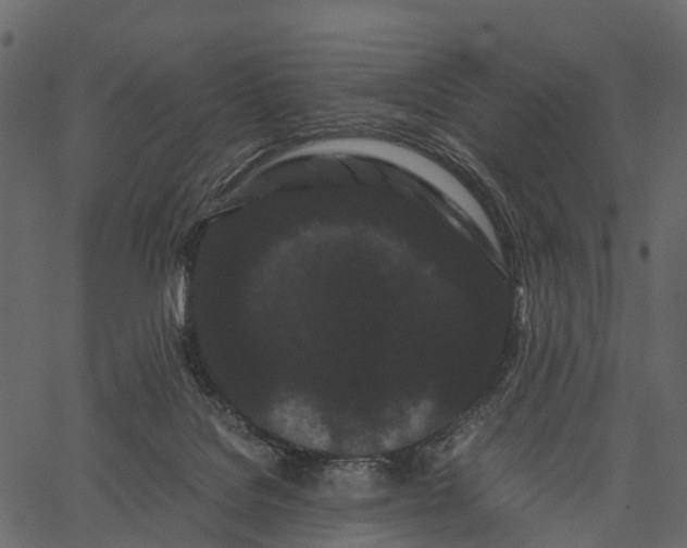 X0000062630076200601111111