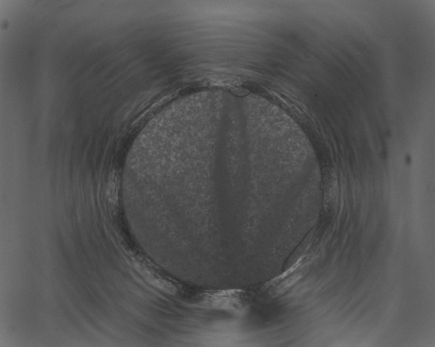 X0000062630078200601111111