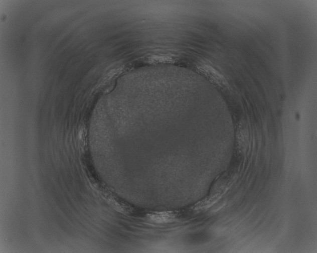 X0000062630079200601111111