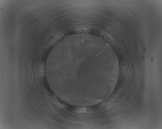 X0000062630083200601111111