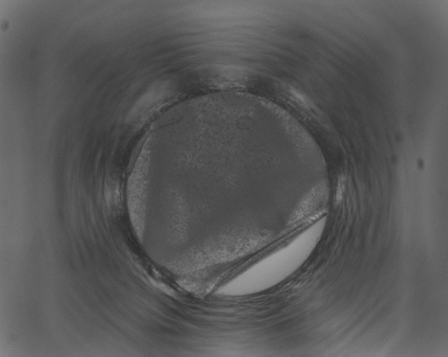 X0000062630084200601111111