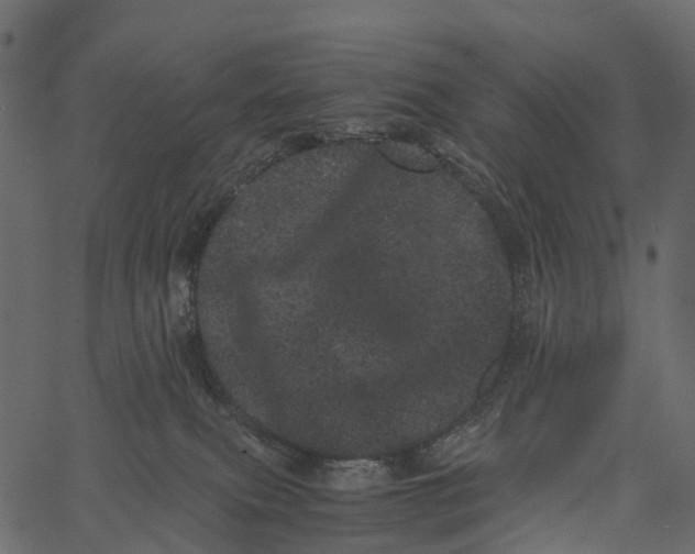 X0000062630087200601111111