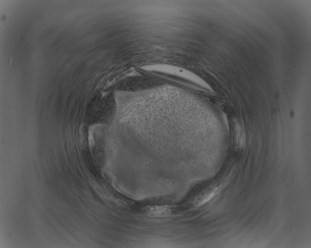 X0000062630088200601111111