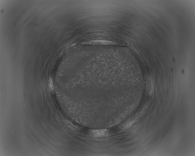 X0000062630089200601111111