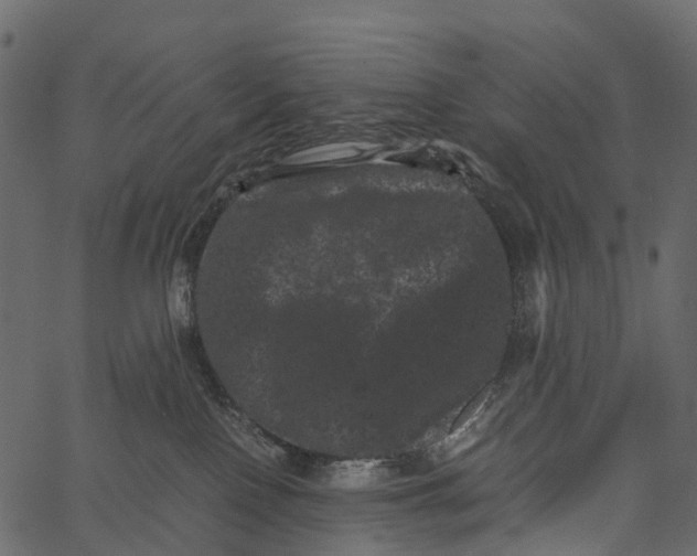 X0000062630090200601111111