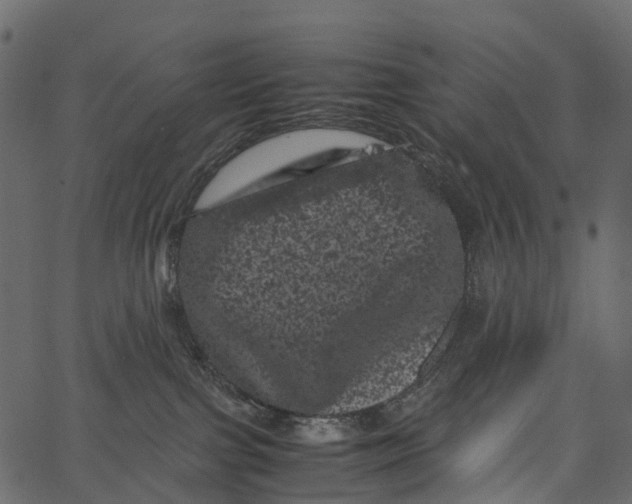 X0000062630091200601111111