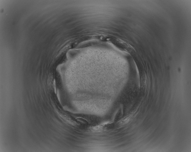 X0000062630092200601111111