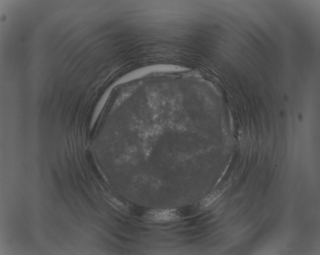 X0000062630093200601111111