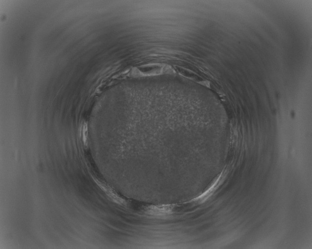 X0000062630094200601111111