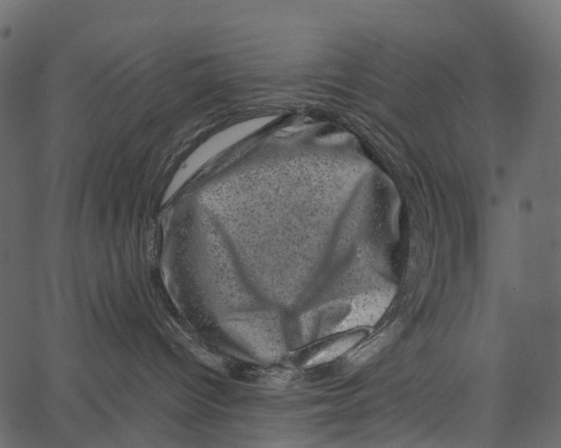 X0000062630096200601111111