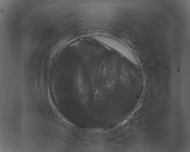 X0000062630097200601111110