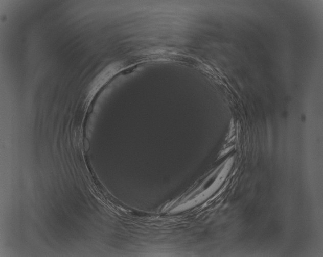 X0000062630099200601111110