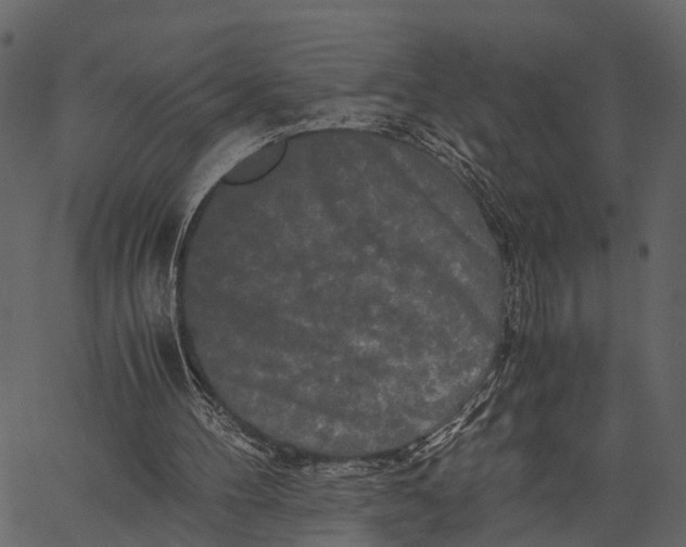 X0000062630100200601111110