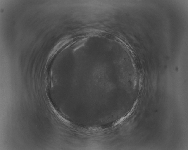 X0000062630101200601111110