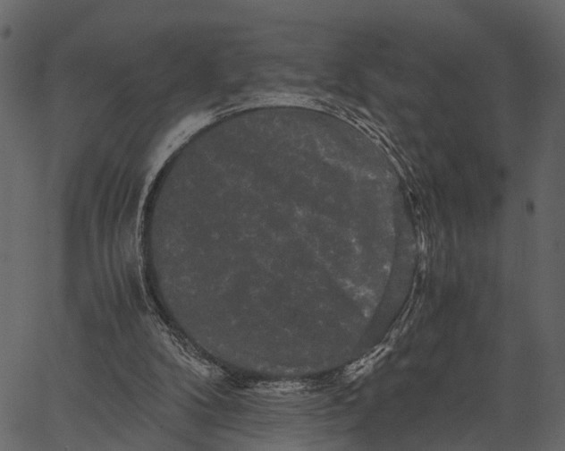 X0000062630104200601111110