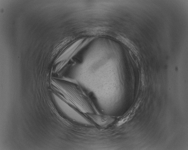 X0000062630105200601111110