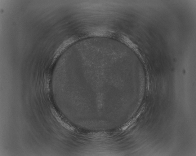 X0000062630106200601111110