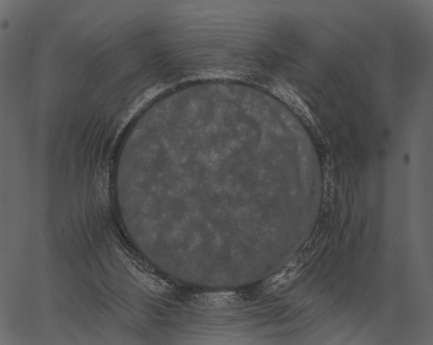 X0000062630108200601111110