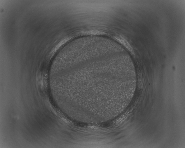 X0000062630111200601111110