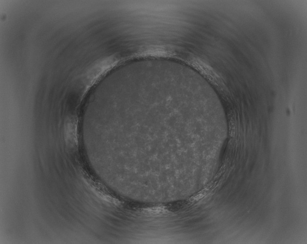 X0000062630112200601111110