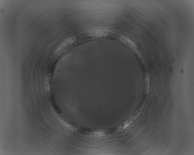 X0000062630114200601111110