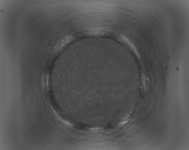 X0000062630115200601111110