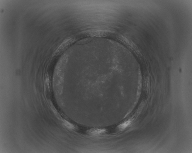 X0000062630117200601111110