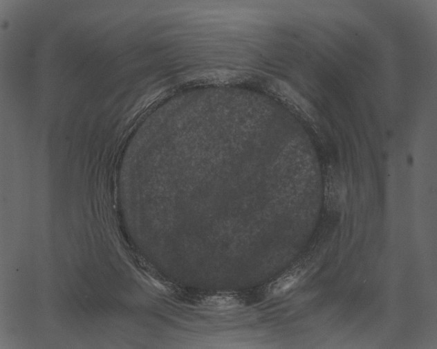 X0000062630119200601111110