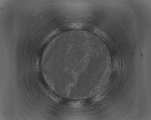 X0000062630120200601111110