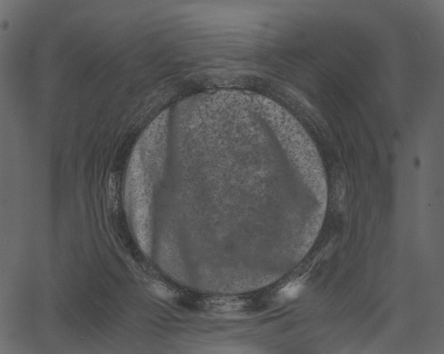 X0000062630121200601111110