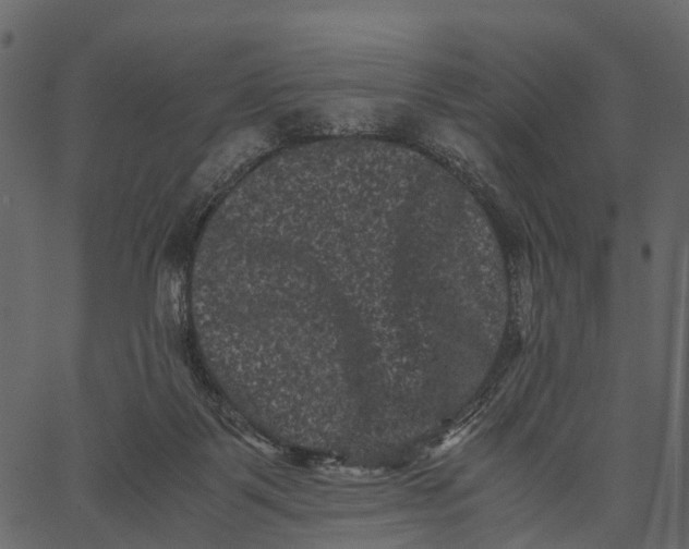 X0000062630123200601111110