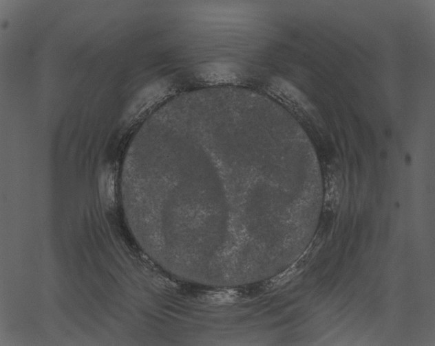 X0000062630124200601111110