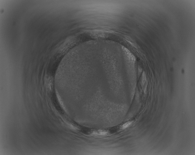 X0000062630125200601111110