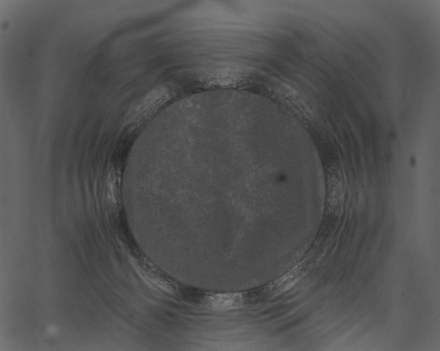 X0000062630126200601111110