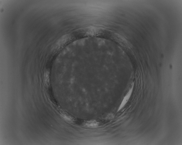 X0000062630127200601111110