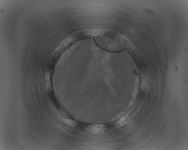 X0000062630128200601111110